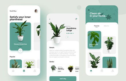 portfolio images